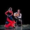 Vuelo Flamenco