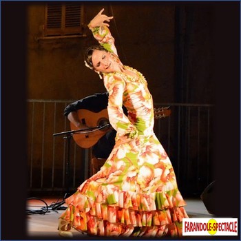 vuelo Flamenco -